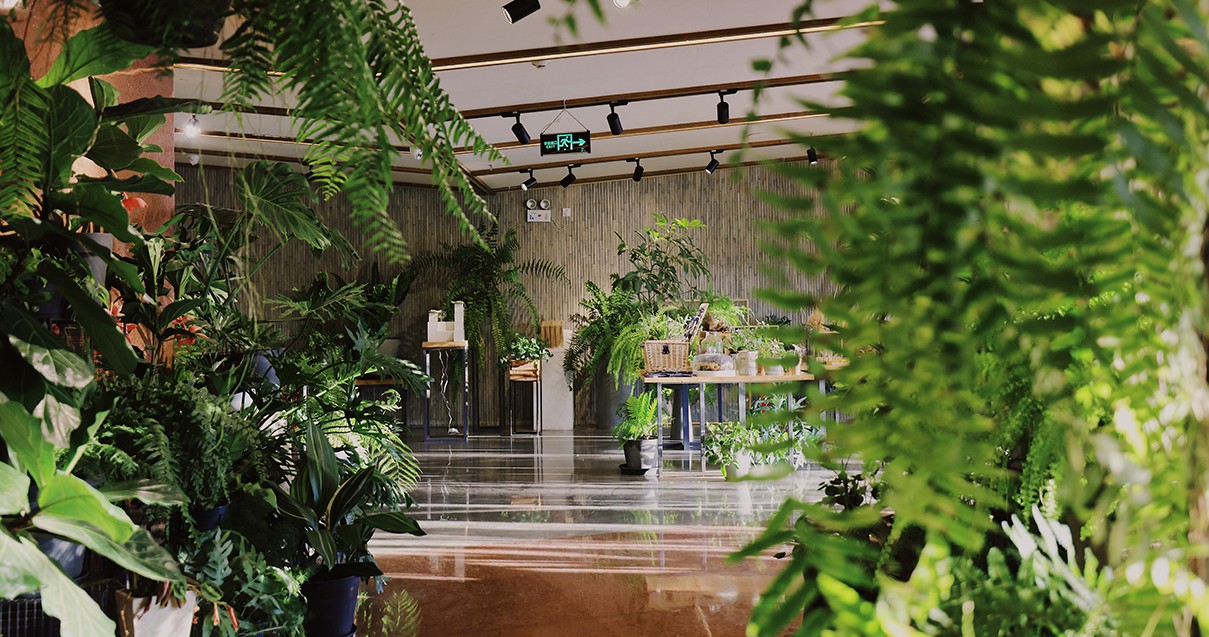 人生就是搏奥莱·滇池小镇