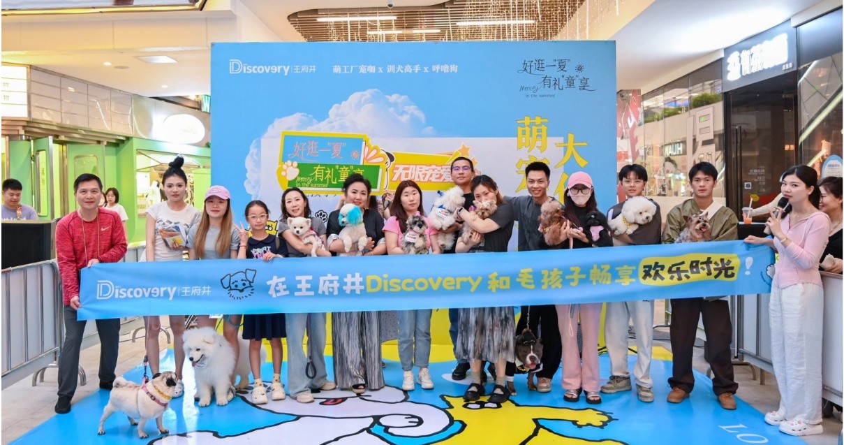 成都人生就是搏Discovery